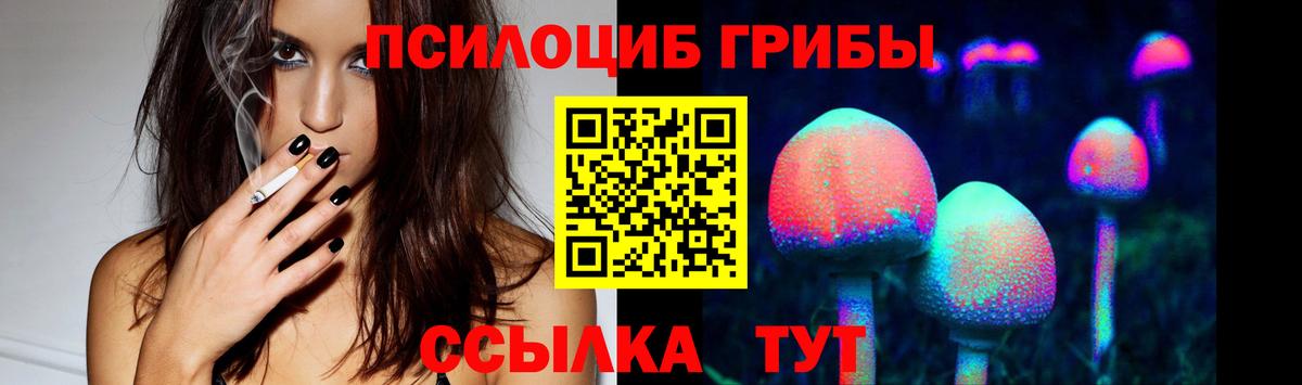 Гулькевичи  Галлюциногенные грибы MAGIC MUSHROOMS  Вход с VPN  Псилоцибиновые грибы Psilocybe 